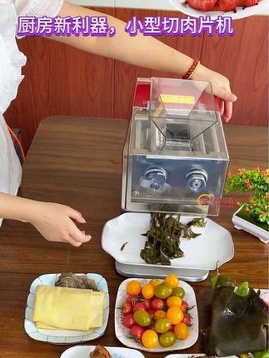 切肉片机 鲜肉切片机 切片机 肉类加工设备 切肉机