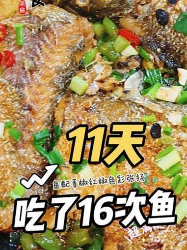 11天吃了16顿鱼,仅吃了6次米饭,算不算破纪录!翘嘴三件套 都嫌弃小翘嘴哈,一斤的都看不