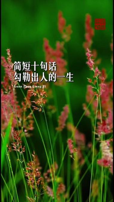 简短十句话勾勒出人的一生 简短十句话勾勒出人的一生 #中华文化 #传统文化 #古诗词 #国