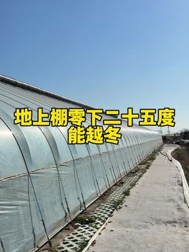 地上棚也能做到-25度越冬种蔬菜!农业种植 大棚建设 温室大棚 农业