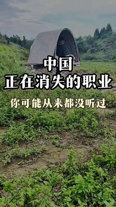 中国即将消失的职业。旅游 旅行推荐官 赶鸭人 旅行大玩家 赶鸭子