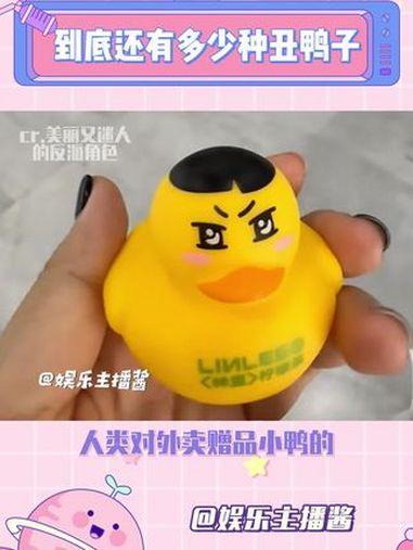 鸭子比丑大赛没有尽头 抽象 搞笑 海尔云溪洗衣机精英版 @海尔洗衣机