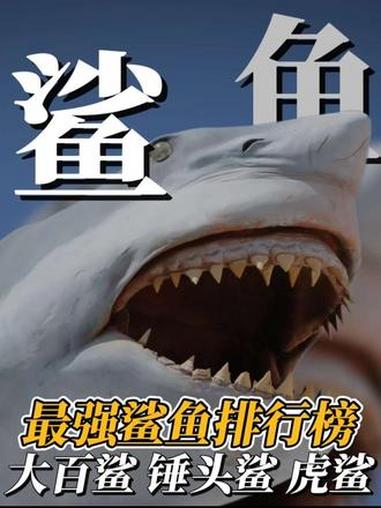 海洋深渊的终极猎手:五种让你脊背发凉的鲨鱼盘点。虎鲨 大白杀 锤头鲨 神奇动物在抖音 盘点