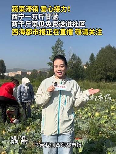 蔬菜滞销 爱心接力!西宁一万斤甘蓝 两千斤菜瓜免费送进社区西海都市报正在直播 敬请关注 蔬