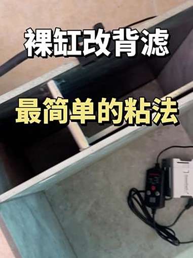 裸缸改背滤最简单的粘法 自制背滤鱼缸 裸缸改背滤 瓷砖鱼缸制作 裸缸改侧滤 瓷砖鱼缸教程