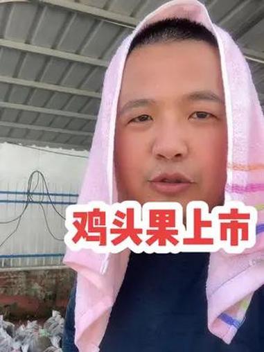 新鲜的鸡头果上市啦,喜欢吃的快来哦 鸡头米 芡实 优质农产品 我为家乡农产品代言
