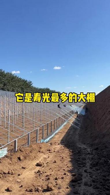 土墙大棚是寿光最多的大棚可以占到90%，因为它不用加温就可以种植越冬蔬菜……#农业#现代化