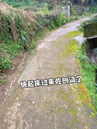 吃刨汤啦老辈子些～#瓜子二手车 #我的乡村生活 #农村生活日常 #杀猪菜 #刨汤