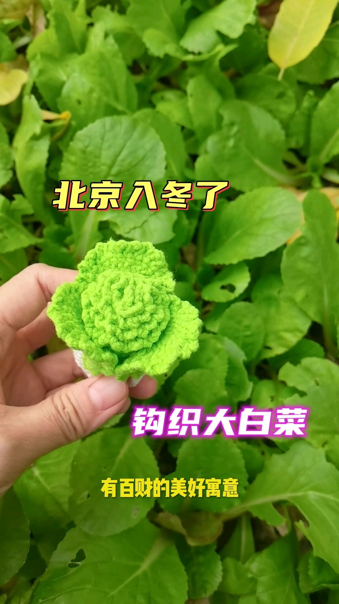 北京入冬了,钩织大白菜,祝大家百财发财!