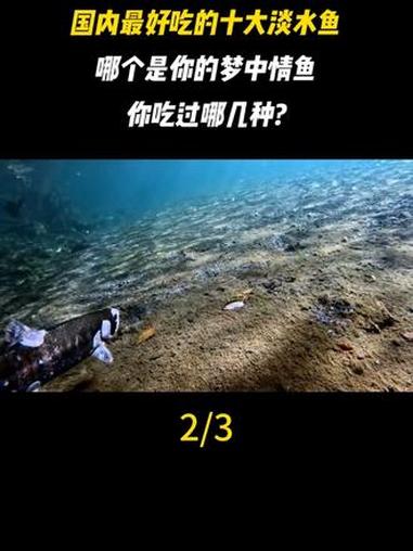 国内最好吃的十大淡水鱼，哪个是你的梦中情鱼，你吃过哪几种？
