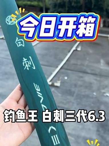 「今日开箱」钓鱼王 白刺三代6.3米 4.5H的硬度 钓重3300克 轻量全能综合竿 钓鱼