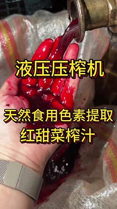 天然食用色素快速提取设备 红甜菜榨汁机 工业大型水果榨汁机设备 水果蔬菜液压压榨机榨汁机器
