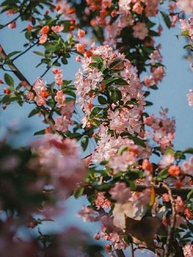 自从吃了这个牛肉面，再也不去楼下面馆了 好吃到停不下来 无限回购的宝藏单品 嘎嘎好吃 夜宵