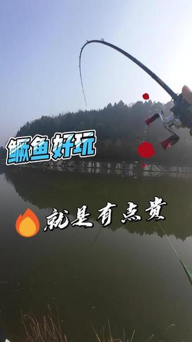 鳜鱼好玩，下次还玩 #路亚 #钓鱼 #钓鱼人 #鳜鱼 #万物皆可种草搜