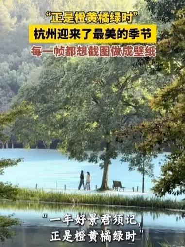 杭州迎来了最美的季节!“一年好景君须记”,眼下正是橙黄橘绿的限定美好,快赴这场秋日之约～