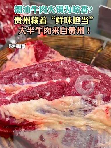 潮汕牛肉火锅为啥香?贵州藏着“鲜味担当”,大半牛肉来自贵州!粤黔山海奔赴