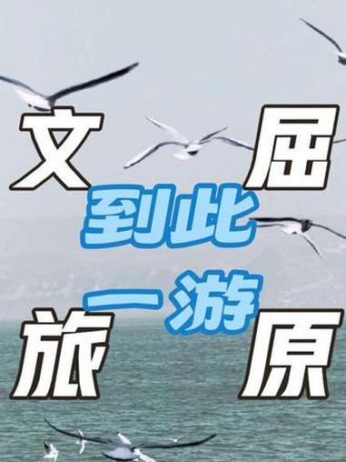 大天鹅、小天鹅、疣鼻天鹅、黑天鹅……我们都是美天鹅东古湖、三门峡、我们都是天鹅城呀～