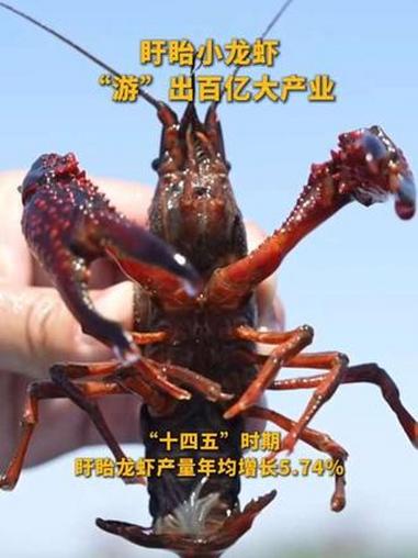 盱眙小龙虾“游”出百亿大产业