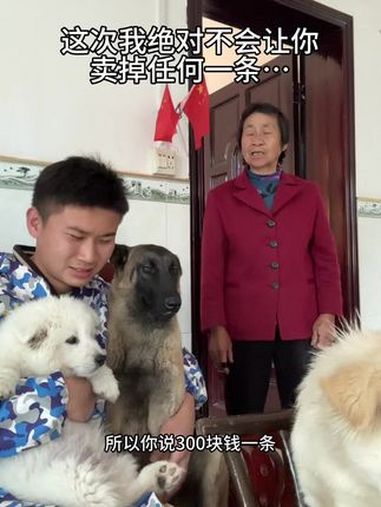 小时候的大黄就被偷偷卖了,这次我不能让你卖的……萌宠 我和我的狗 狗是人类最忠诚的朋友请善