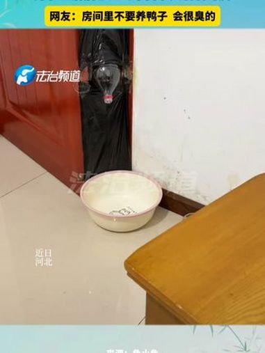 男子生病后感受到来自家人满满的爱,网友:房间里不要养鸭子 会很臭的