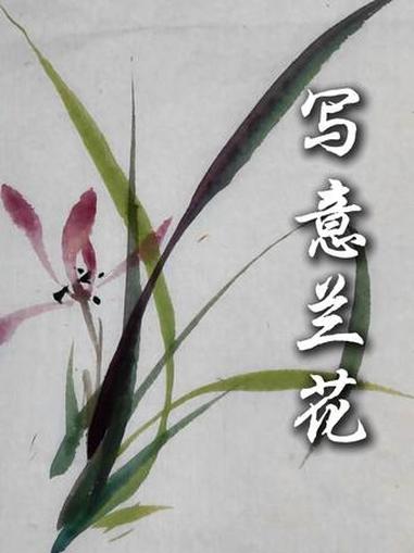 为什么你画的兰花像韭菜 看完你也会画#国画 #零基础学国画 #国画教程 #写意兰花
