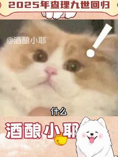 查理九世居然要回归了 查理九世 回忆 白月光 小说 万万没想到