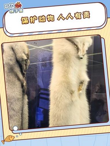 真破防了,享受不带我,保护环境的时候都赖我 鱼翅是什么 狐狸皮草 娱乐评论大赏 保护动物 