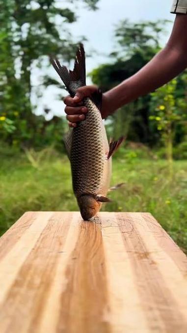 一条鱼的美食 我的乡村生活 日常生活 户外烧烤野炊 中国国画