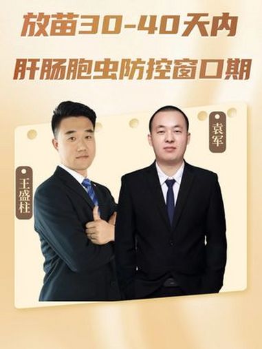 对虾放苗30-40天内,是肝肠胞虫防控窗口期 对虾肝肠胞虫防控 乐畅桉树精油 龙昌渔业观 