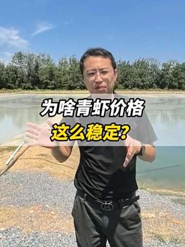 为啥青虾价格这么稳定？水产养殖 青虾 鱼虾蟹养殖 水产人