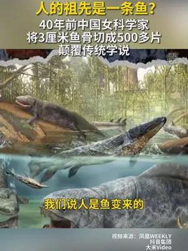 人的祖先是一条鱼?40年前中国女科学家将3厘米鱼骨切成500多片,颠覆传统学说!秀我中国