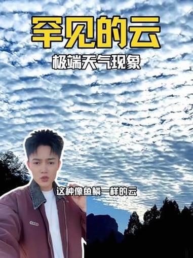 亲子教育 儿童安全 青年创作者成长计划 自然奇境科普季 知识科普