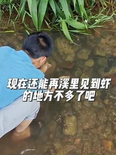 来小溪抓点虾放生到我们果园里面去,看看能不能养的活 我们村上面有一个小景点,我们全村都是吃