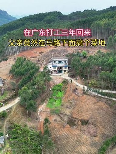 在广东打工三年没回来,父亲竟然在马路下面搞个菜地,这可如何是好呢!宅基地建房 农村自建房
