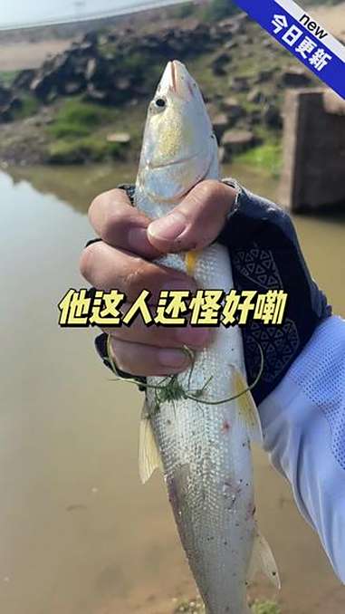 这人好像还怪好嘞……路亚测评 刺莺路亚竿 路亚日常 钓友请就位