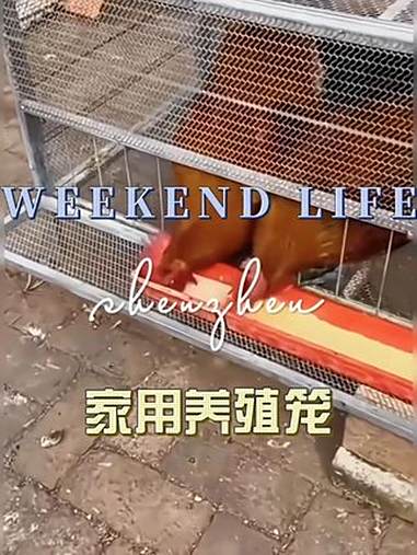 养殖 养鸡笼 好物推荐