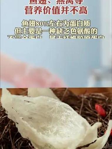 鱼翅、燕窝等营养并不高