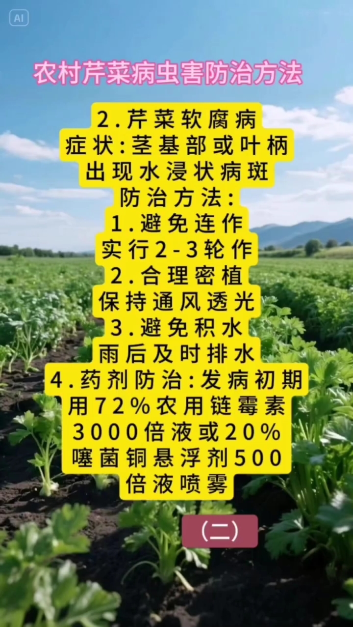 农村芹菜病虫害防治方法