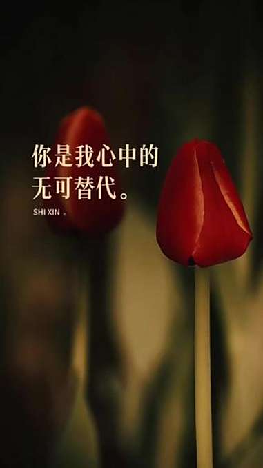 如果生命只是一场遇见,那么我们的相遇,一定是上天最好的安排。今生爱上你,就让我再也放不下,