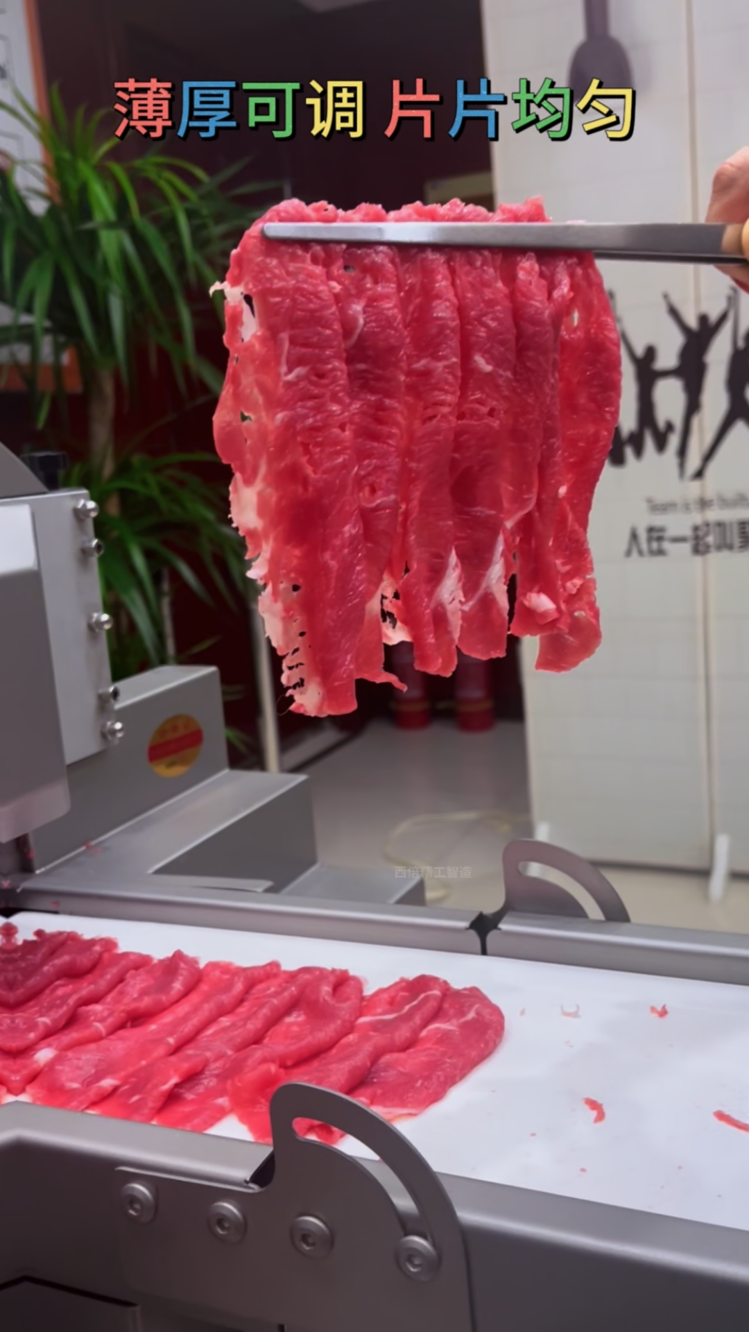 全自动鲜肉切片机#鲜肉切片机#鲜牛羊肉切片机#火锅店切肉机#