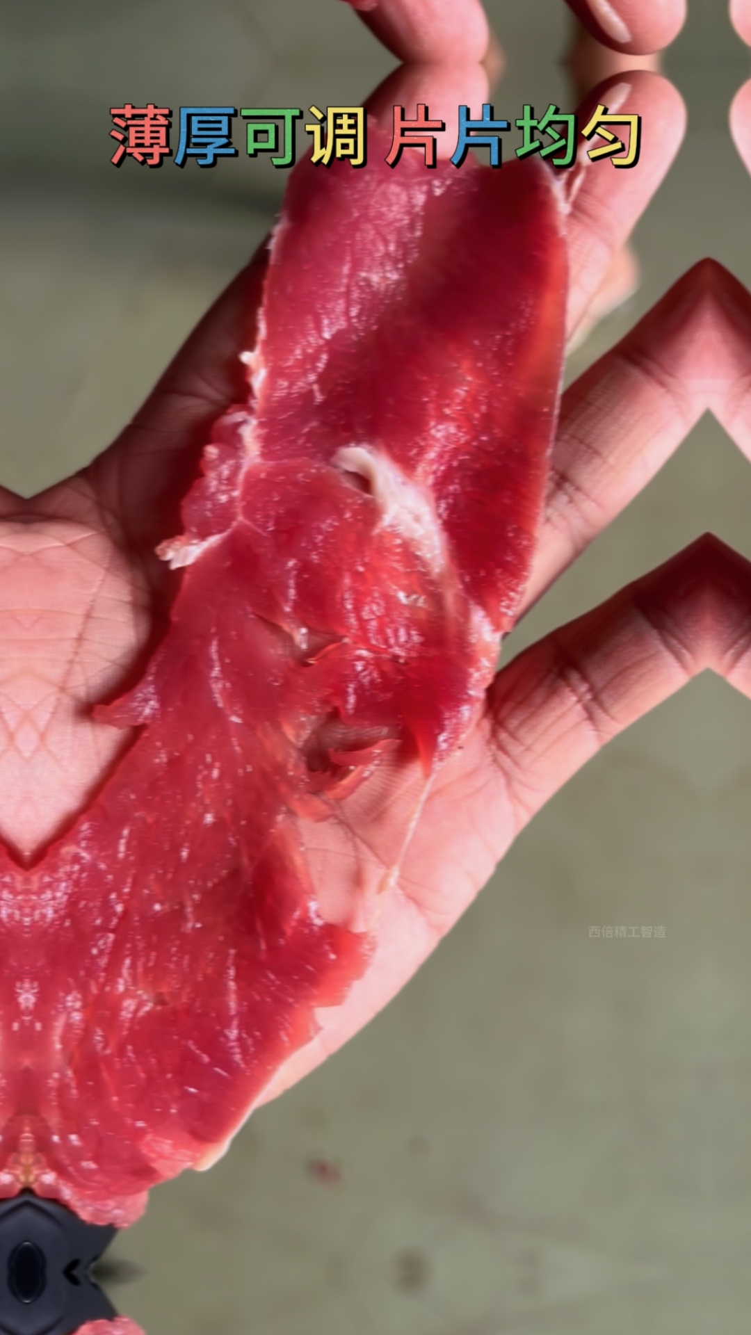 全自动鲜肉切片机#鲜肉切片机#鲜牛羊肉切片机#火锅店切肉机#