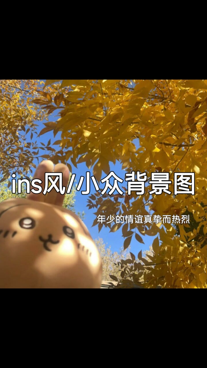 ins风/背景图分享