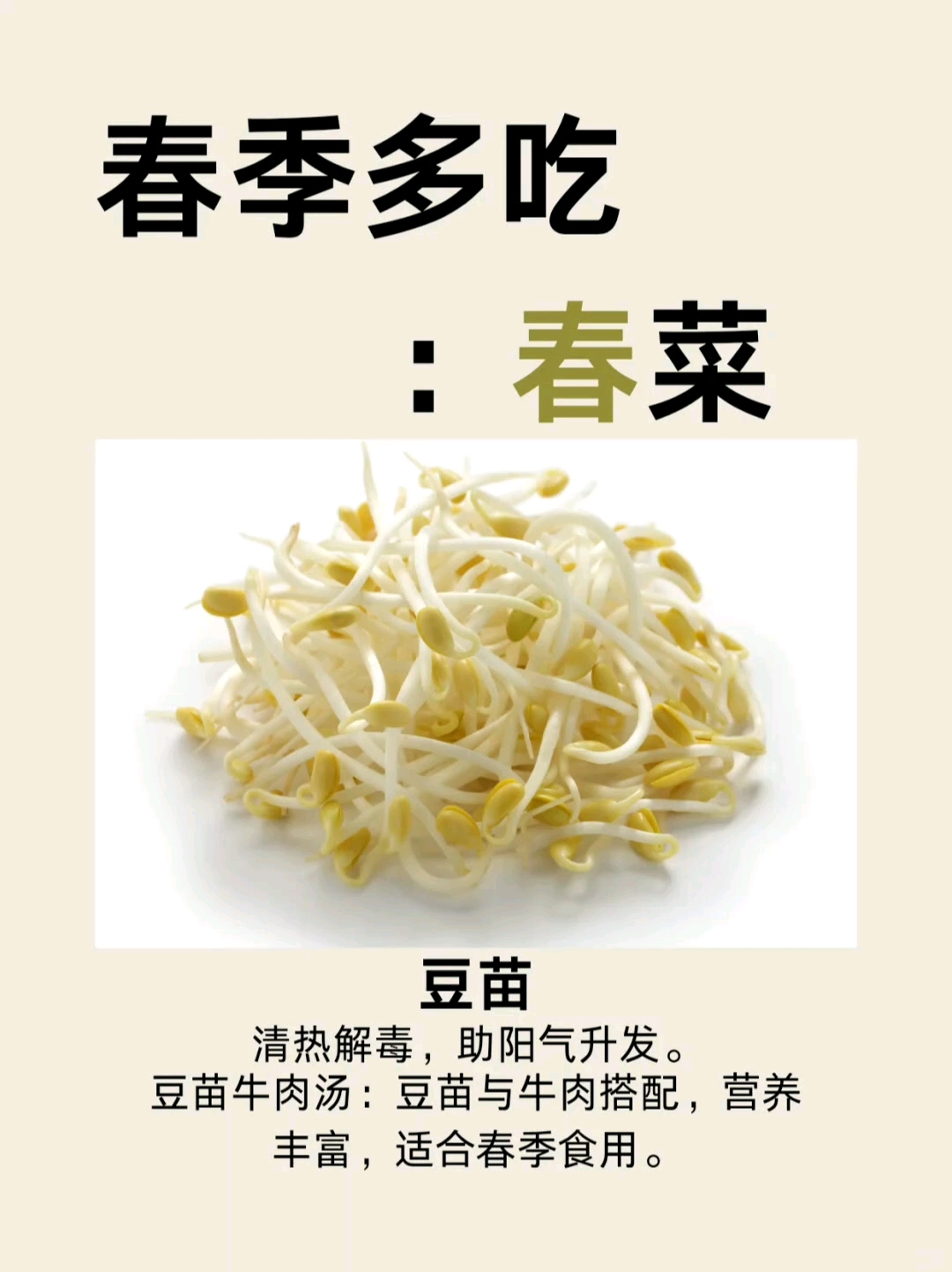 这个春天,多吃春菜