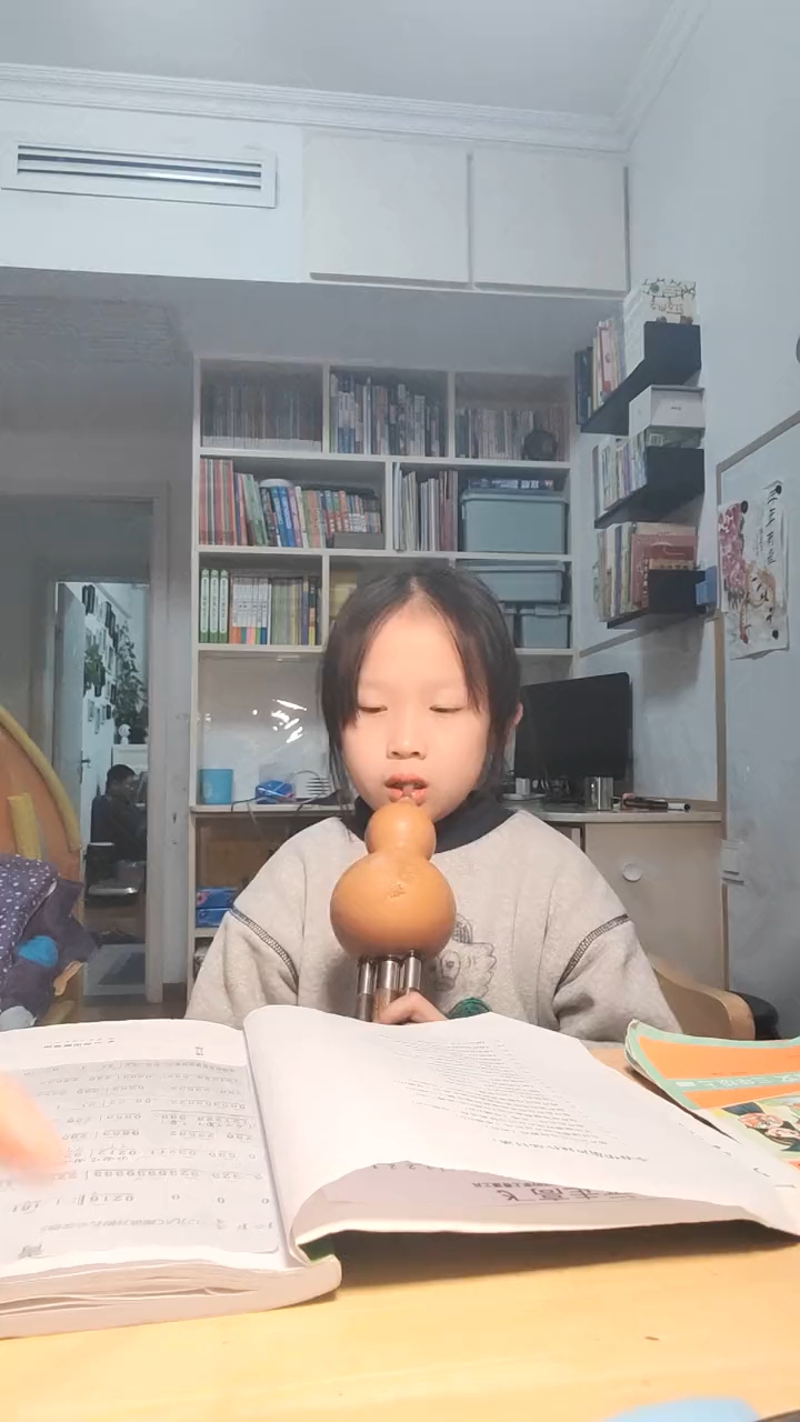 葫芦丝《青花瓷》