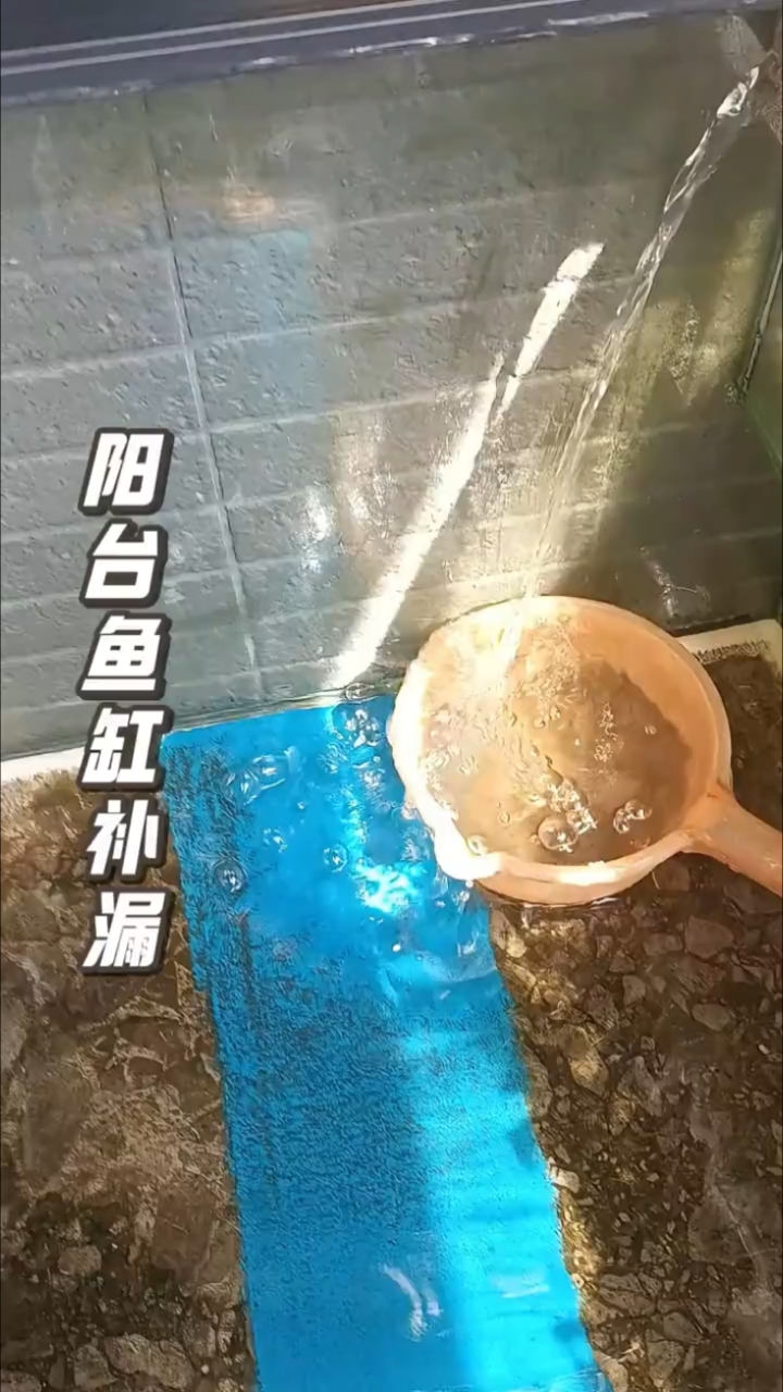 阳台鱼缸补漏#鱼缸补漏 #防水 #鱼池防水涂料
