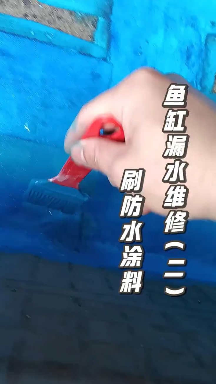 刷防水涂料给鱼缸补漏#鱼缸补漏 #鱼池防水