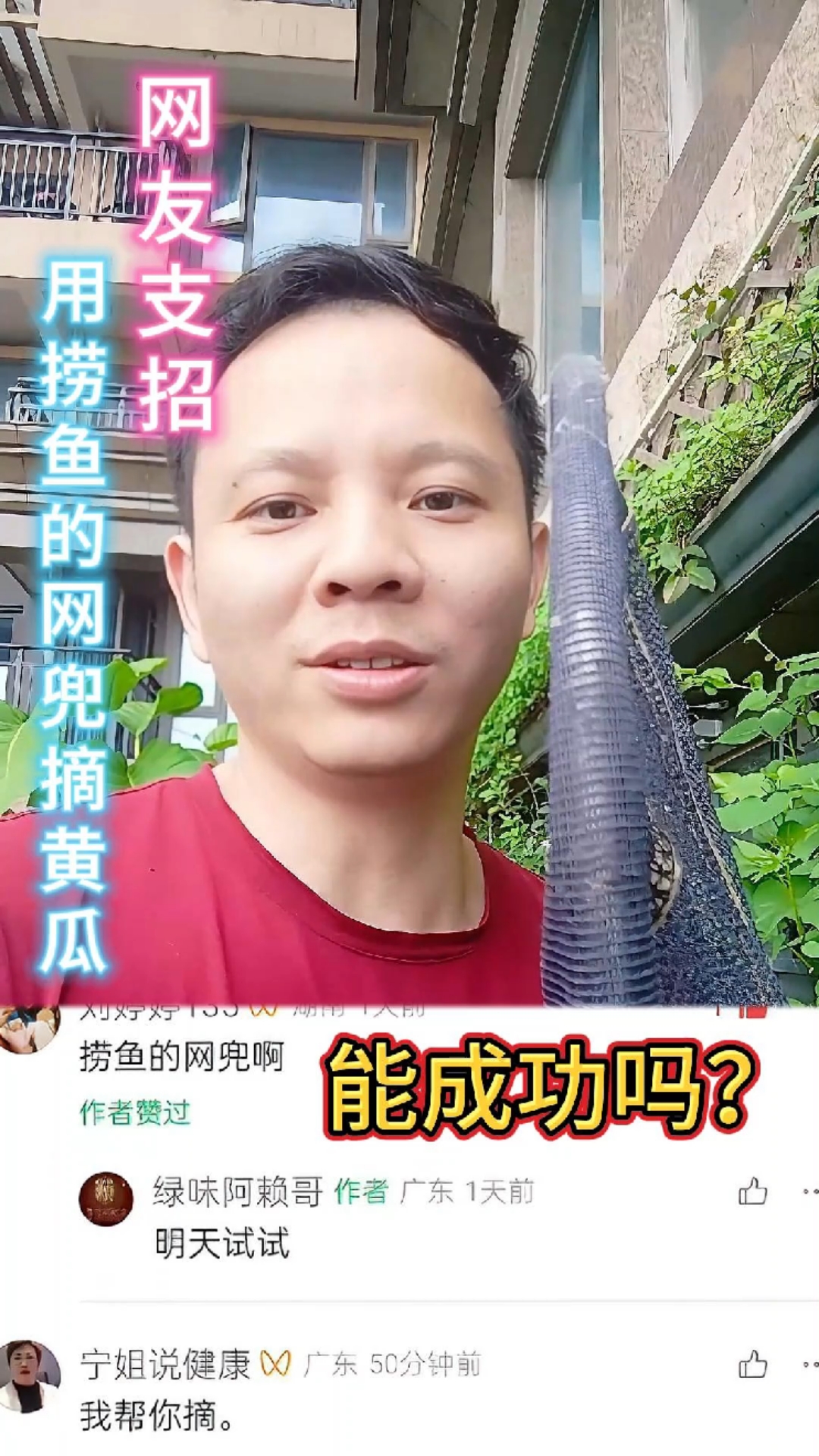 网友支招 用捞鱼的网兜摘黄瓜