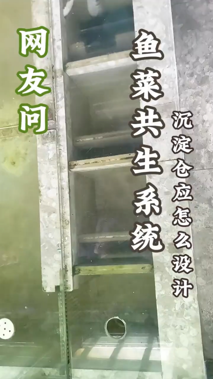 阳台鱼菜共生系统的沉淀仓应怎么设计(一)