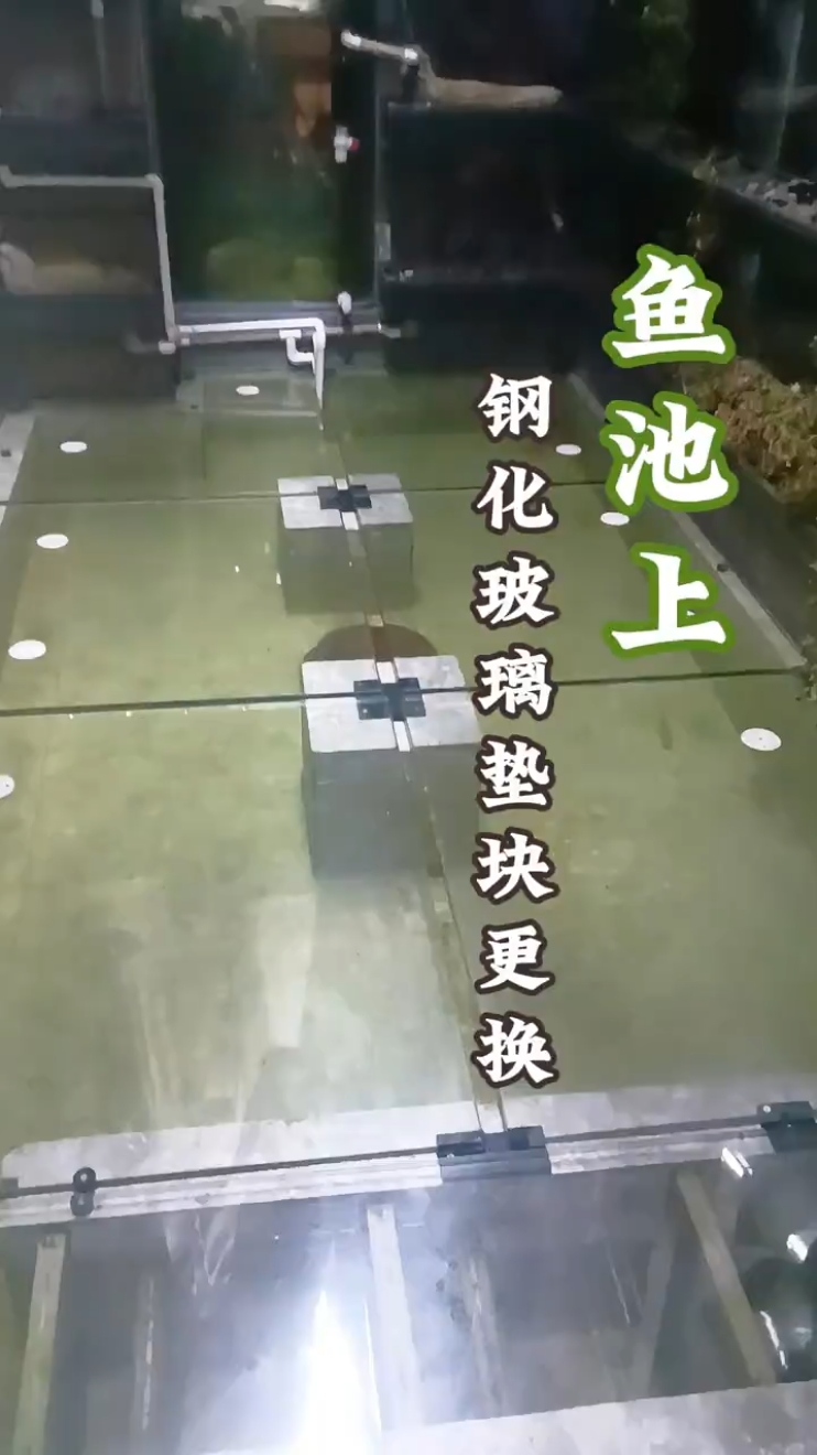 鱼池上面过人的钢化玻璃垫块更换  #钢化玻璃鱼池