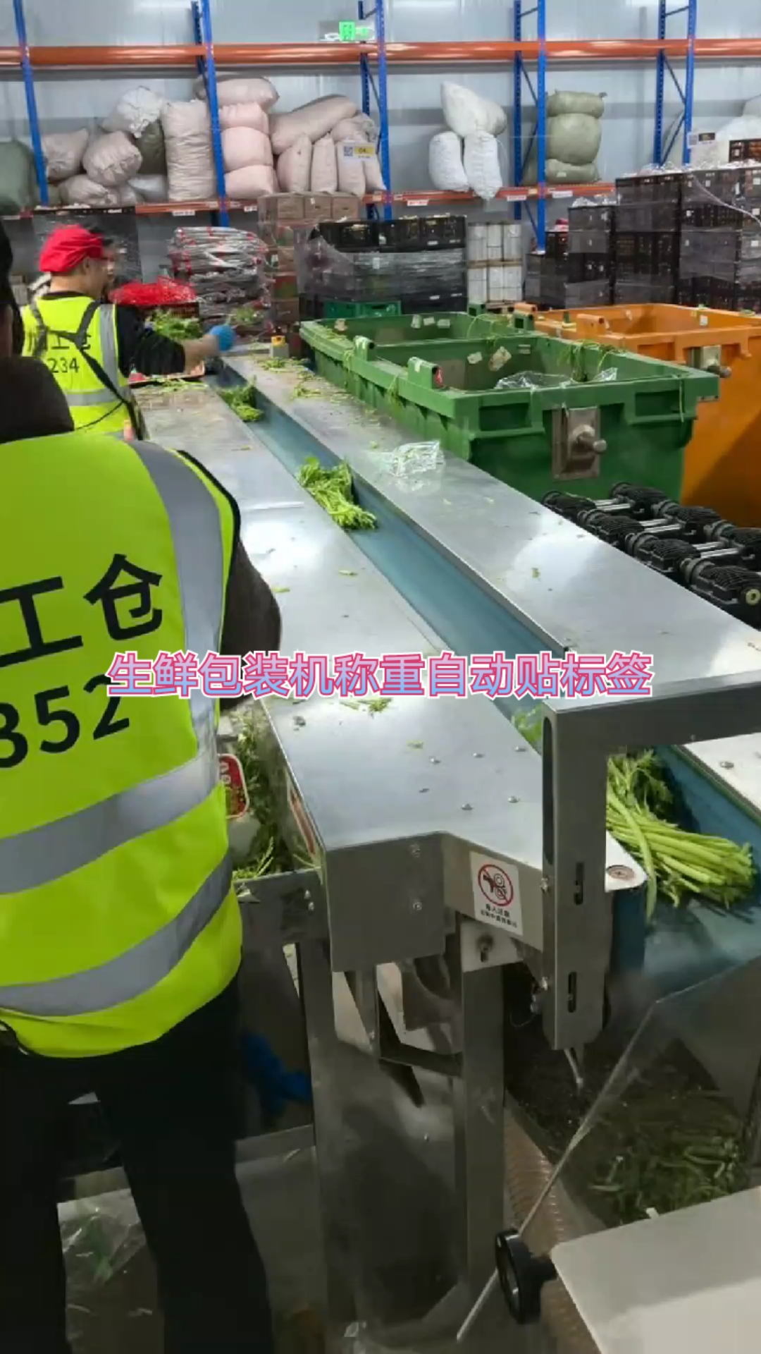 生鲜蔬菜包装机自动称重打印贴标签定重
